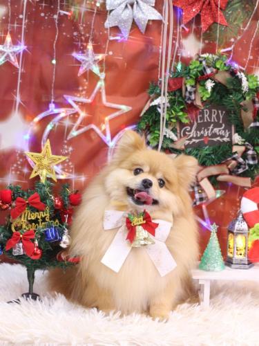 20231201梛都ちゃん